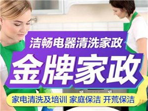 興國縣金牌家政 專業(yè)服務，品質生活的可靠之選